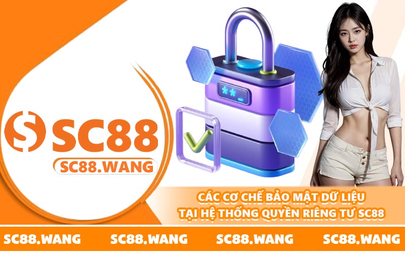 Các cơ chế bảo mật dữ liệu tại hệ thống quyền riêng tư SC88