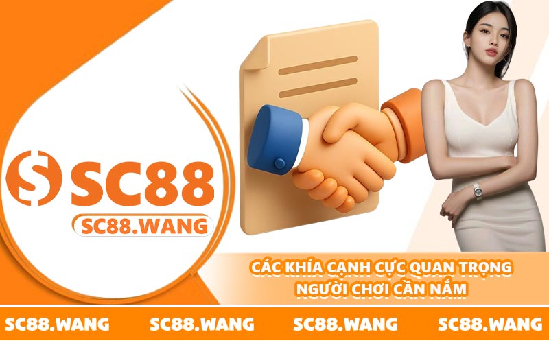 Các khía cạnh cực quan trọng người chơi cần nắm