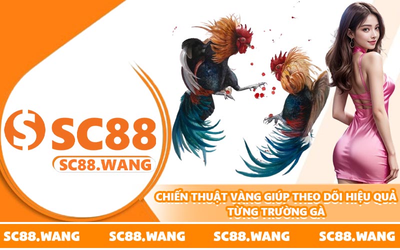 Chiến thuật vàng giúp theo dõi hiệu quả từng trường gà