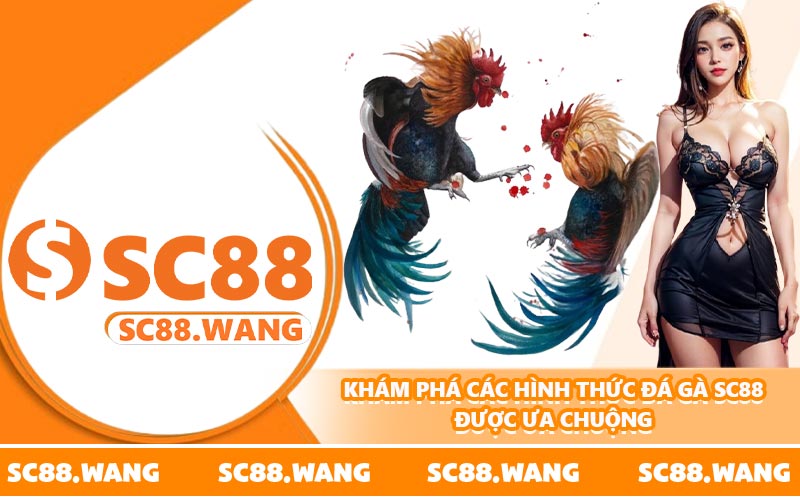 Khám phá các hình thức đá gà SC88 được ưa chuộng