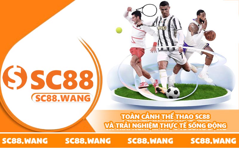 Toàn cảnh thể thao SC88 và trải nghiệm thực tế sống động
