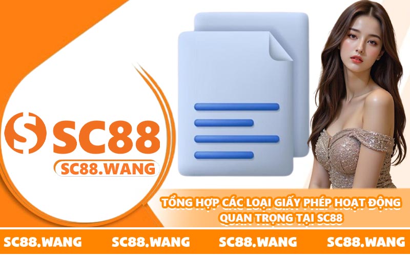 Tổng hợp các loại giấy phép hoạt động quan trọng tại SC88