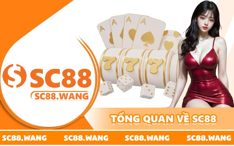Tổng quan về SC88