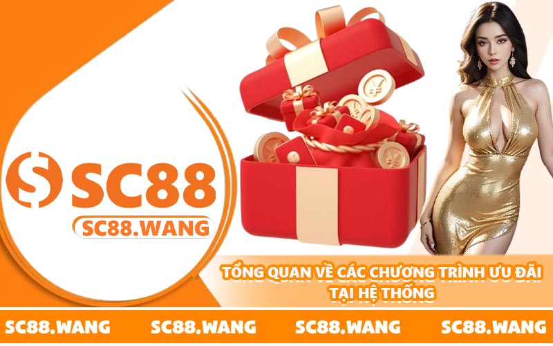 Tổng quan về các chương trình ưu đãi tại hệ thống